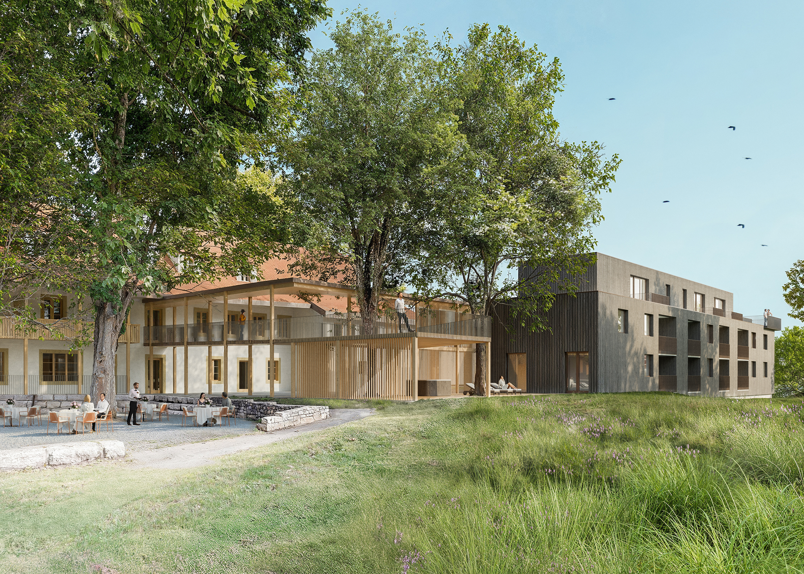 cédric haldimann architecte - concours du domaine de la sauge
